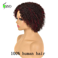 100% Human Hair Wigs for Black Women