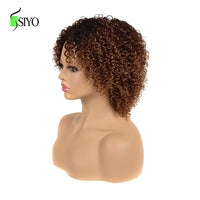 100% Human Hair Wigs for Black Women