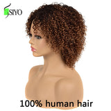 100% Human Hair Wigs for Black Women