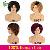 100% Human Hair Wigs for Black Women